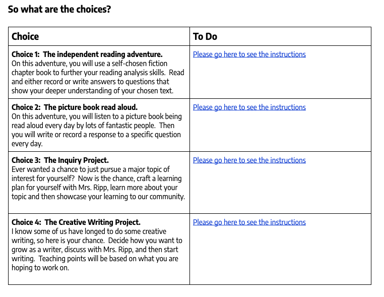 Four literacy choices by Pernille Ripps